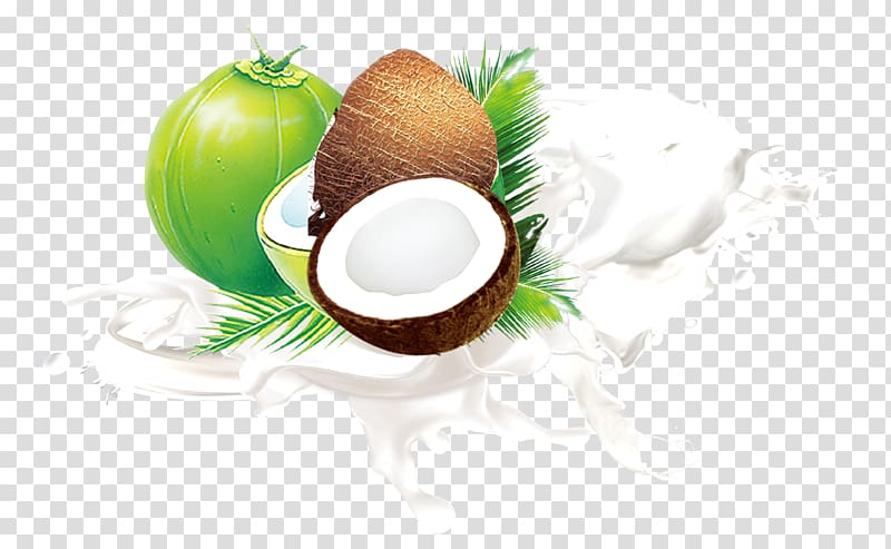 Coconut milk Fruit Leaf, Coconut material transparent background PNG clipart