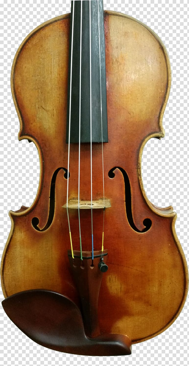 Bass violin Violone Bowed string instrument Cello, violin transparent background PNG clipart