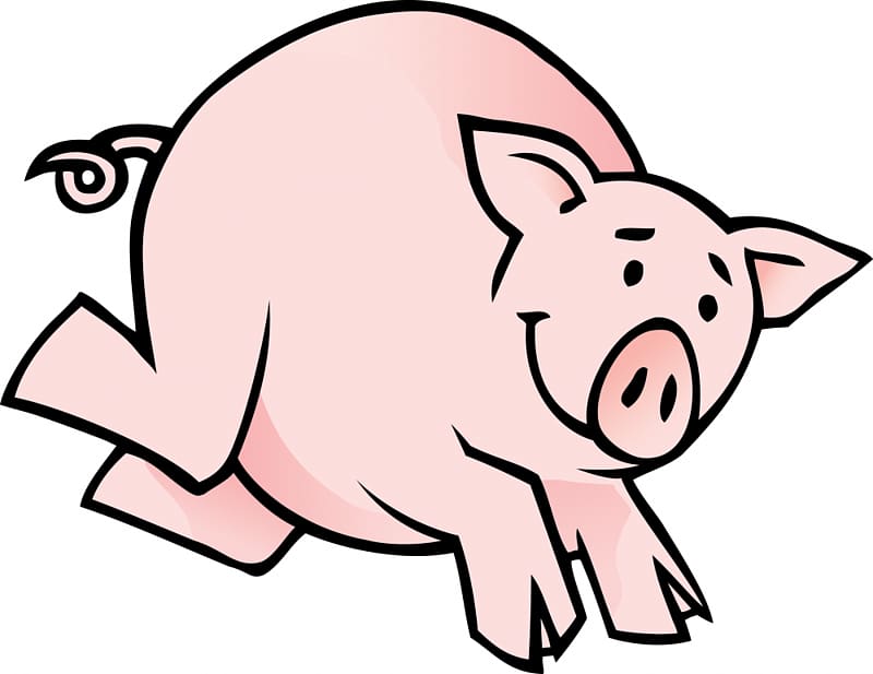 Domestic pig Small Black pig Cartoon , Dog Running Cartoon transparent background PNG clipart