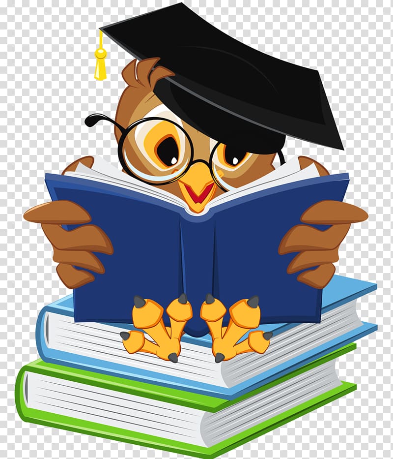 Book Little Owl, booking transparent background PNG clipart