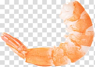cooked shrimp art, Shrimp transparent background PNG clipart