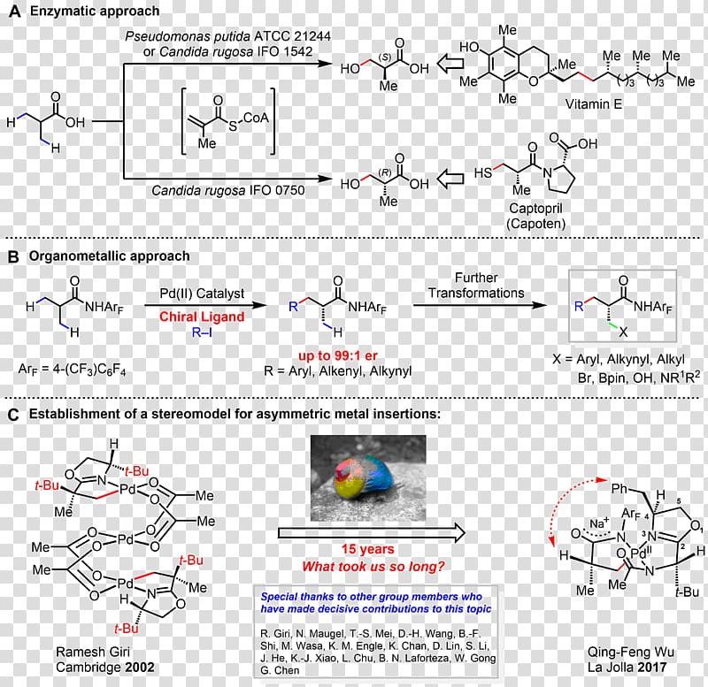 Chirality Organic chemistry Methyl group Molecule, science sensitive effect transparent background PNG clipart