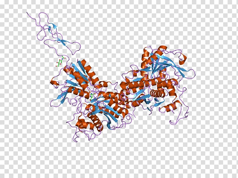 Metabotropic glutamate receptor 3 Metabotropic receptor, others transparent background PNG clipart