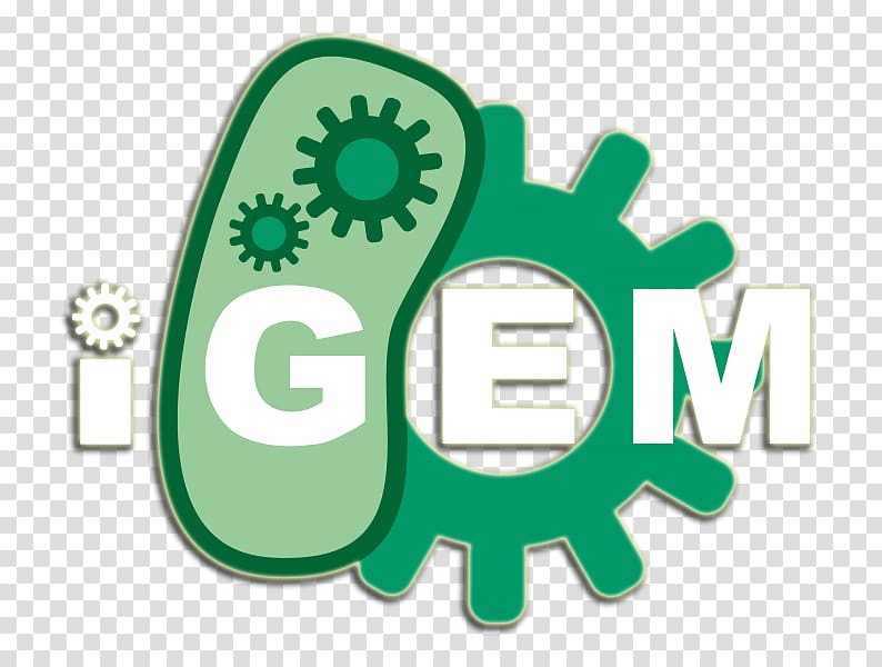 International Genetically Engineered Machine Synthetic biology Genetics 0, Technical team transparent background PNG clipart