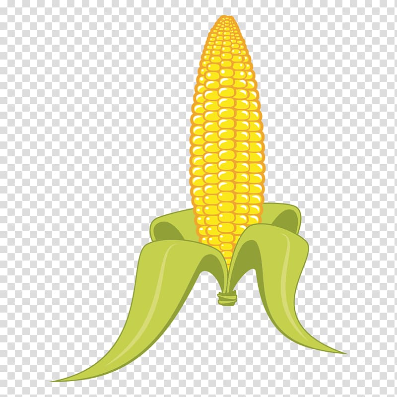 Candy corn Popcorn Grits Corn on the cob, corn transparent background PNG clipart