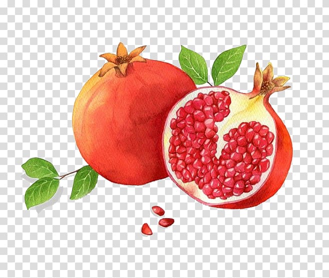 Granada Pomegranate Red Adobe Illustrator, Red pomegranate transparent background PNG clipart
