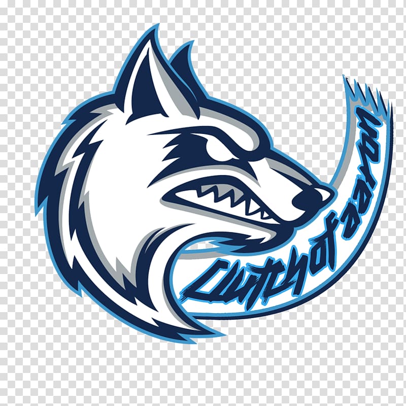 Cerro Coso Community College Coyote Cuyamaca College West Hills College Lemoore California Community College Athletic Association, basketball transparent background PNG clipart