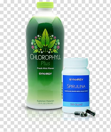 Detoxification Dietary supplement Chlorophyll Nutrition Health, kacang hijau transparent background PNG clipart