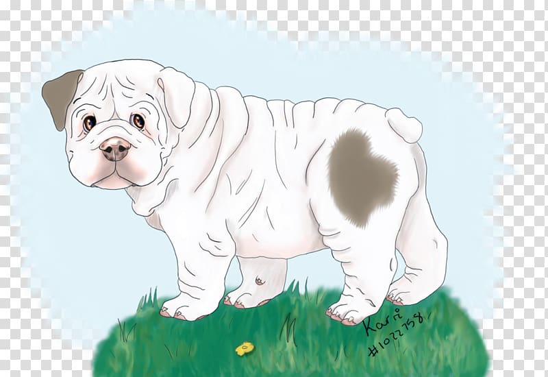 Toy Bulldog Olde English Bulldogge Dorset Olde Tyme Bulldogge Puppy Dog breed, puppy transparent background PNG clipart