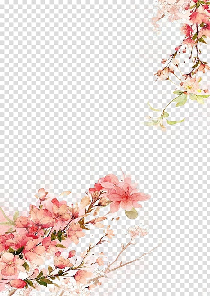 Watercolor painting Chinese painting Drawing Illustration, Antiquity beautiful watercolor illustration, selective focus of pink petaled flower transparent background PNG clipart