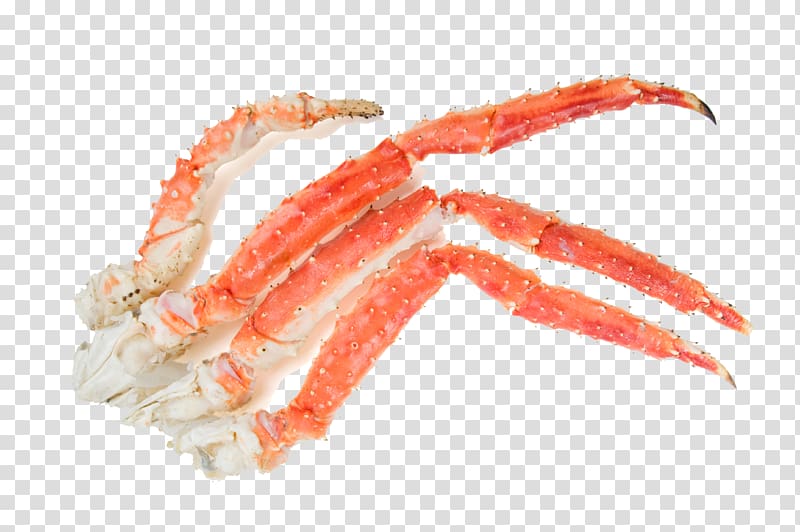 Red king crab Chinese mitten crab Hanasaki Crab, HD crabs transparent background PNG clipart