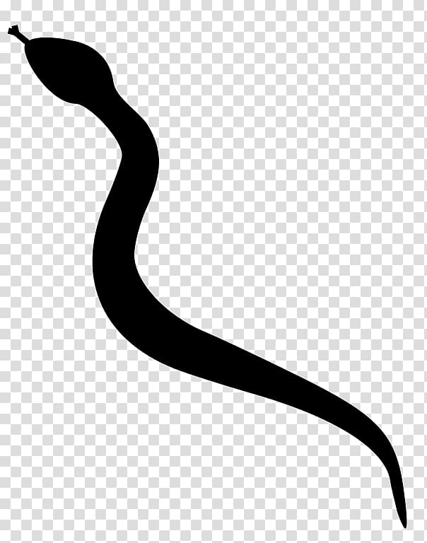 Rattlesnake Silhouette , anaconda transparent background PNG clipart