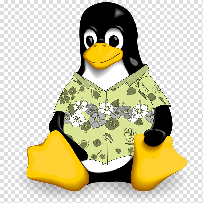 Linux Command-line interface Graphical user interface Installation Ubuntu, hibiscus transparent background PNG clipart