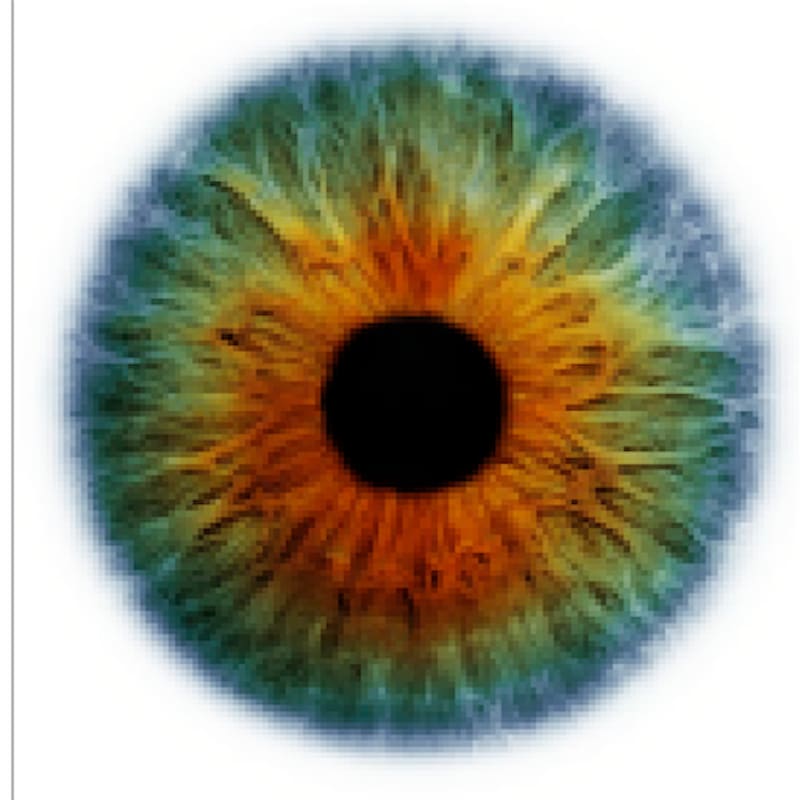 Eye color Human eye Green, Eye transparent background PNG clipart