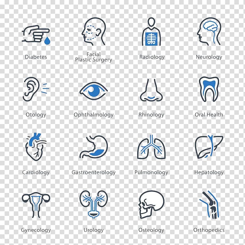 assorted medical terms illustration, Health Care Medicine Specialty Icon, Human body icon high-definition buckle material transparent background PNG clipart