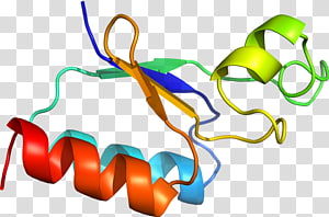 Line , design transparent background PNG clipart thumbnail