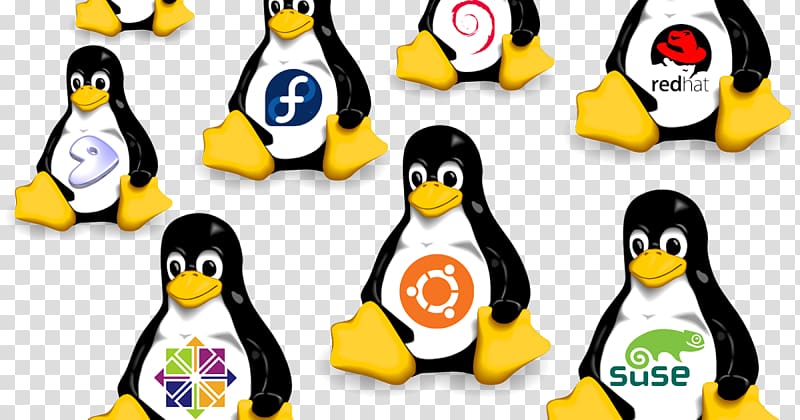 Linux distribution Operating Systems Open-source software Computer Software, linux transparent background PNG clipart