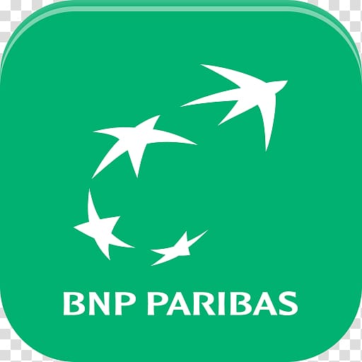 Bnp store paribas logo