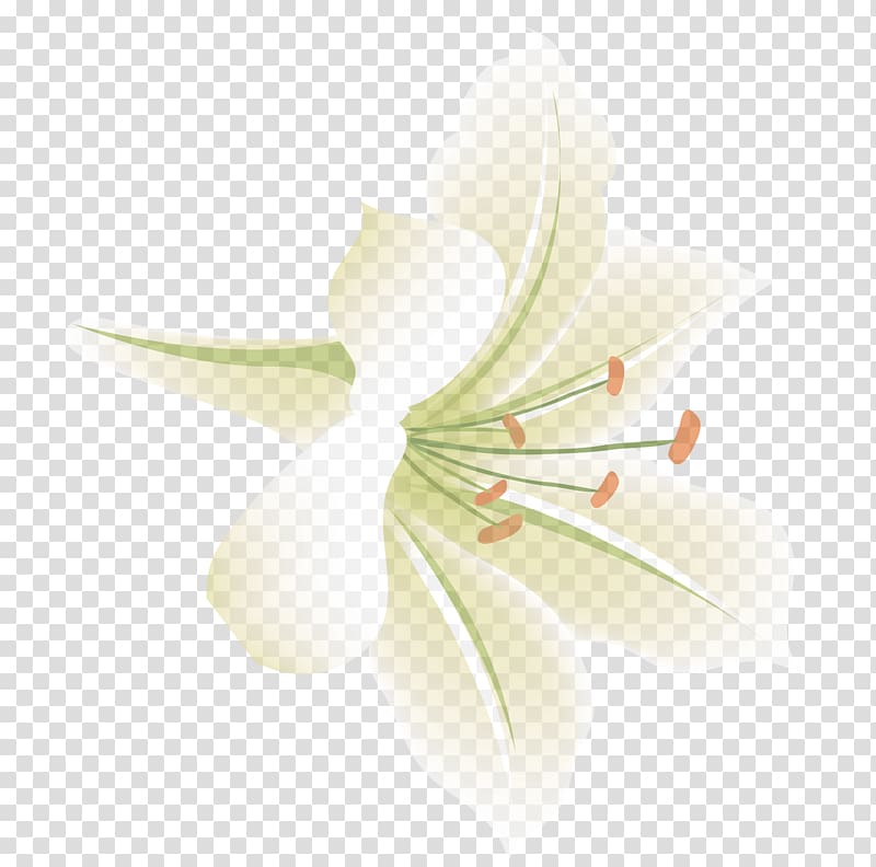 Lilium Flower Aesthetics, Aesthetic exquisite flower lily transparent background PNG clipart