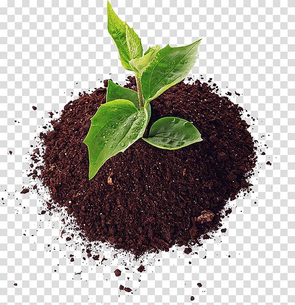 green leaves in soil , Soil Agriculture Fertilisers Pesticide Organic farming, SOIL transparent background PNG clipart