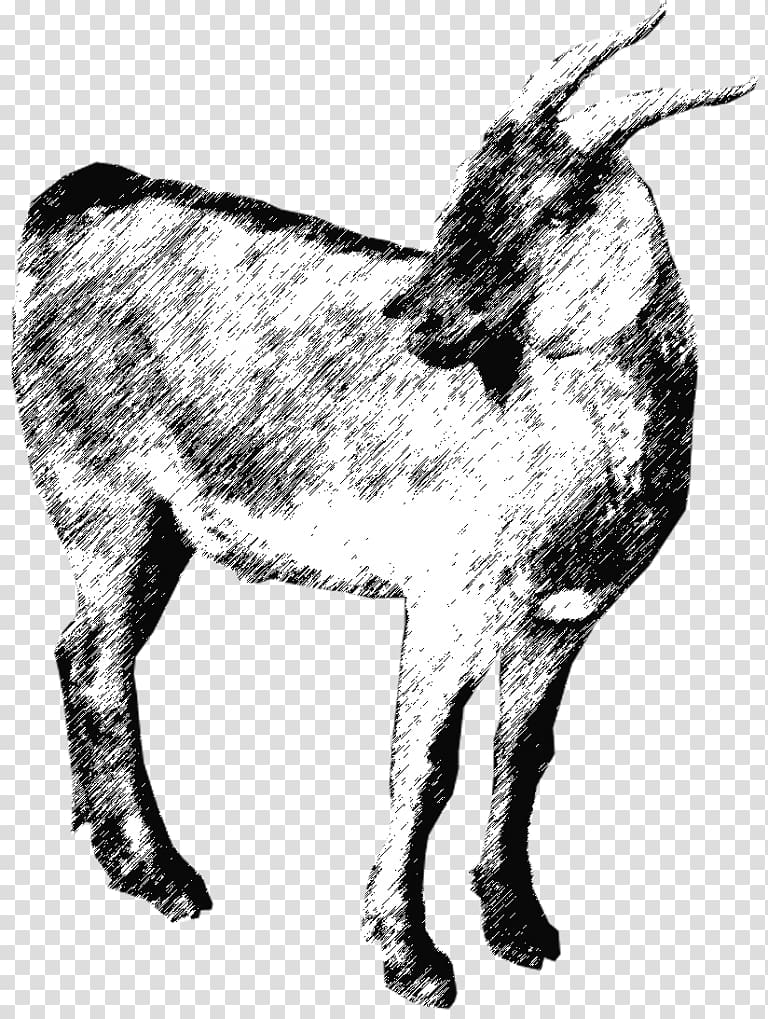 Goat Cattle Donkey Qurbani EZ Qurban Sdn. Bhd., goat transparent background PNG clipart