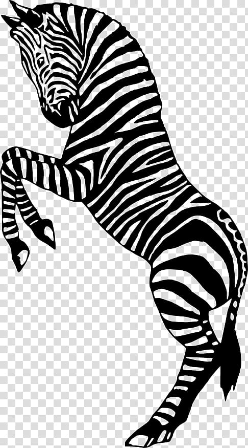 Zebra Silhouette Circus , Zebra Silhouette transparent background PNG clipart