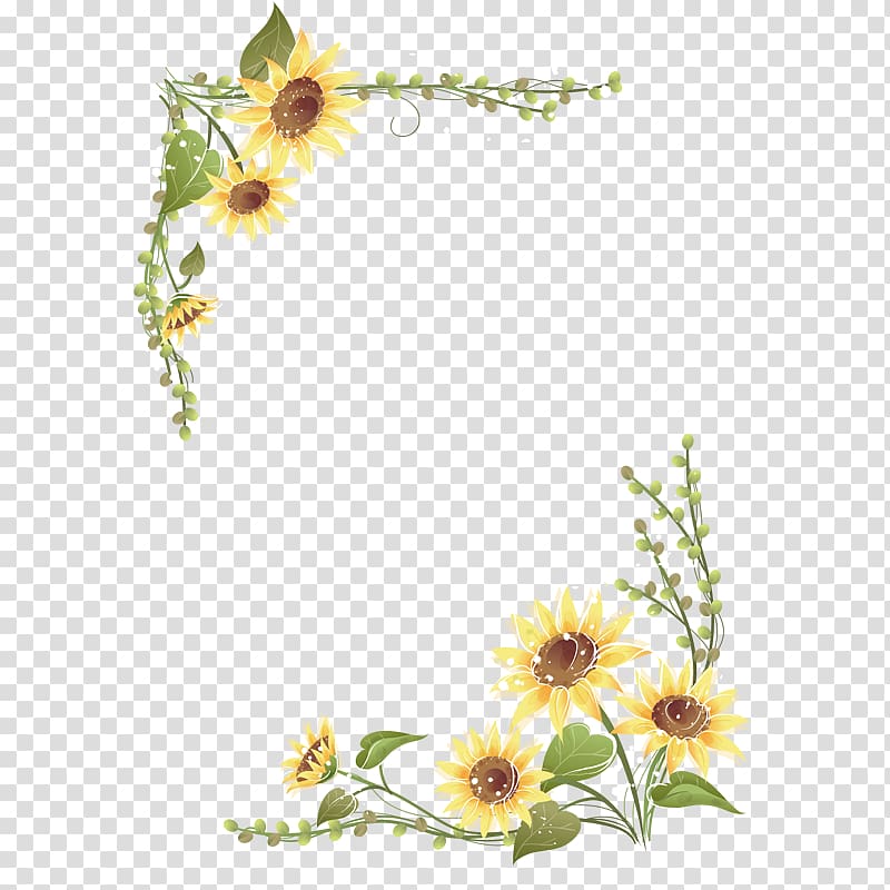yellow flowers illustration, Common sunflower , Sunflower menu lace transparent background PNG clipart