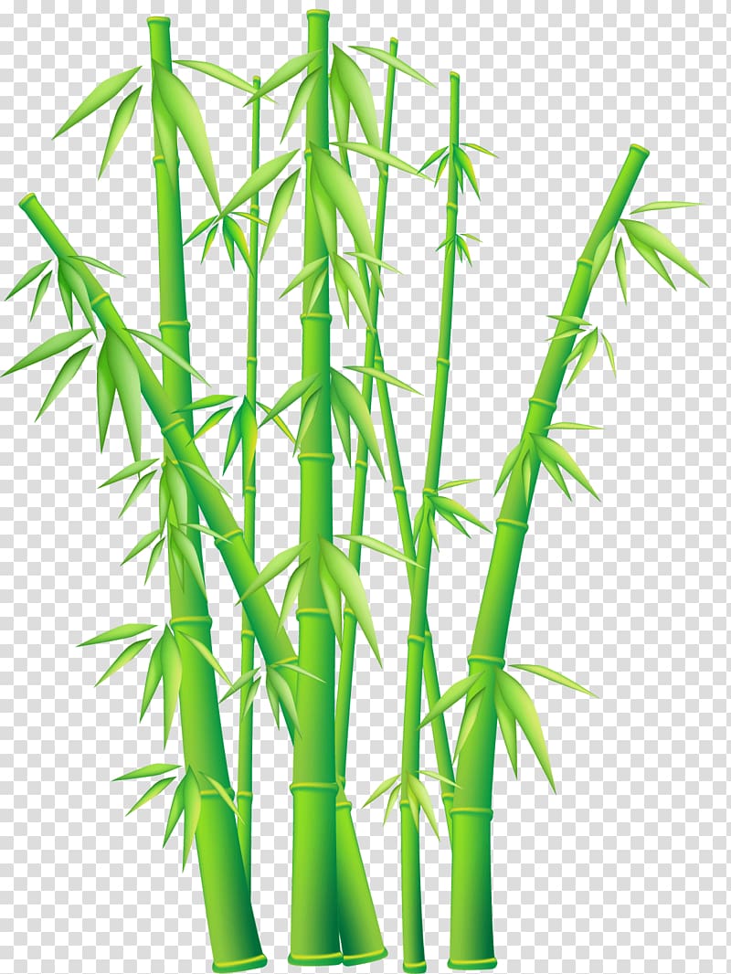 Bamboo transparent background PNG clipart