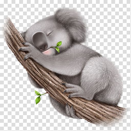 Koala Desktop , koala transparent background PNG clipart