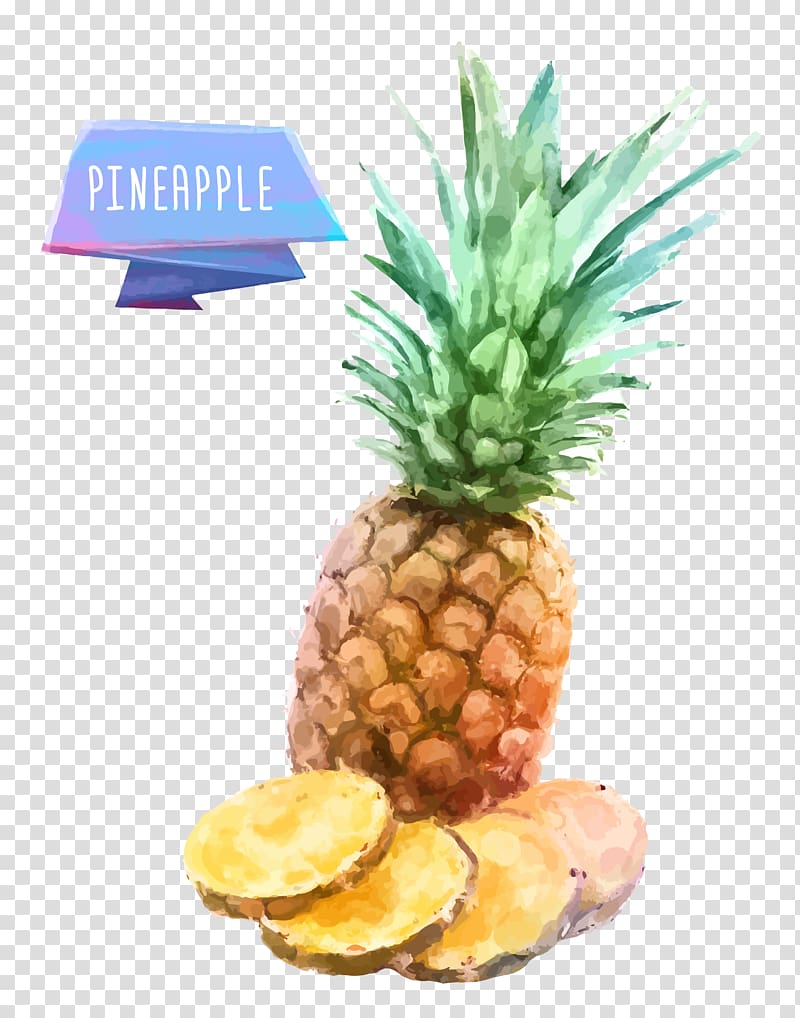Fruit INGE S.p.A Drawing Watercolor painting, pineapple transparent background PNG clipart