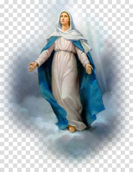 virgin mary illustration our lady of guadalupe feast of the immaculate conception our lady of lourdes others transparent background png clipart hiclipart virgin mary illustration our lady of