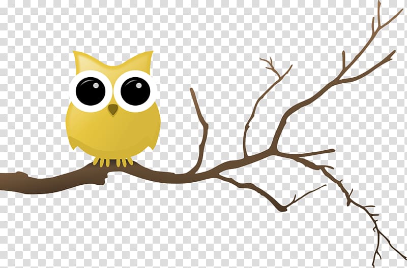 Owl Branch Drawing , owl transparent background PNG clipart