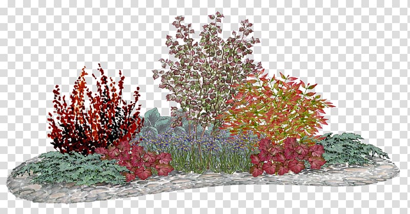 Flower garden Red Bedding Panicled hydrangea, others transparent background PNG clipart