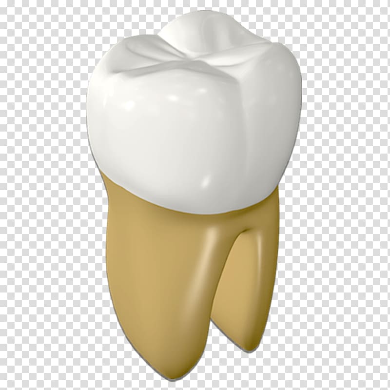 Tooth Human mouth, Strong teeth transparent background PNG clipart