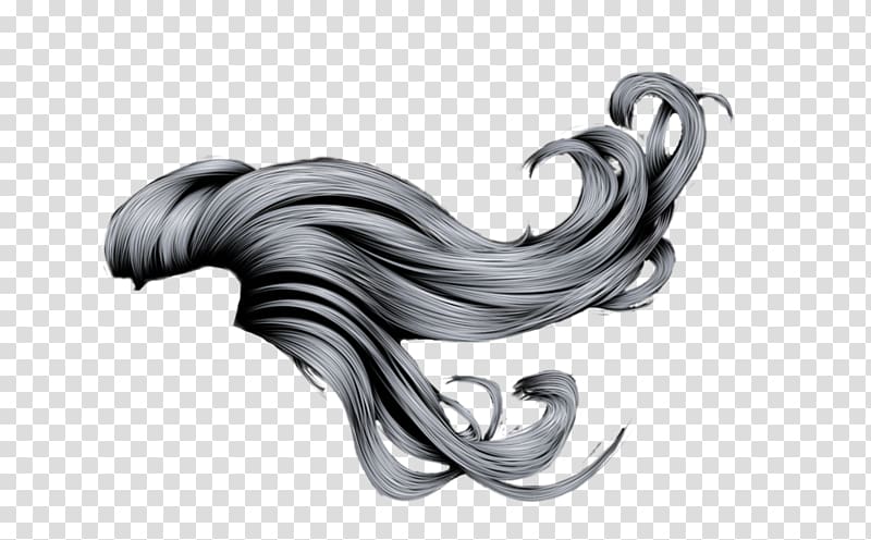 Long hair Canities, black hair transparent background PNG clipart