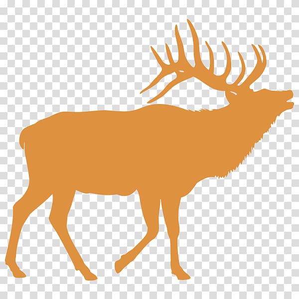 Elk Deer , deer transparent background PNG clipart