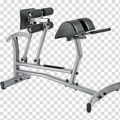 Roman chair Bench Crunch Exercise equipment Hyperextension, romaine transparent background PNG clipart