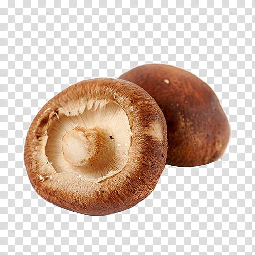 Shiitake Hot pot Edible mushroom Food, mushroom transparent background PNG clipart