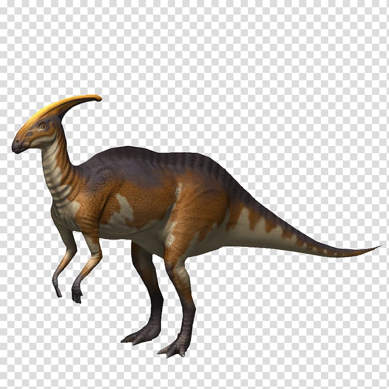 Adocus 3D computer graphics, Dinosaur, gray tyrannosaurus rex dinosaur, 3D  Computer Graphics, animals, tyrannosaurus png