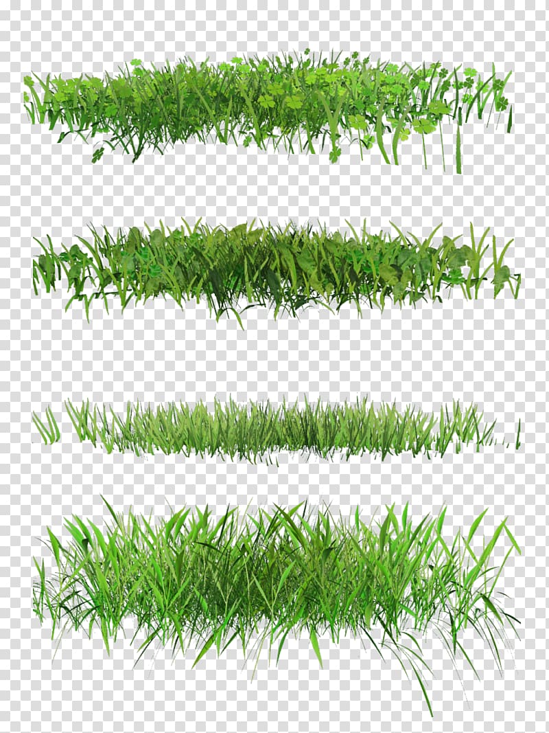 Lawn Desktop , spring grass transparent background PNG clipart