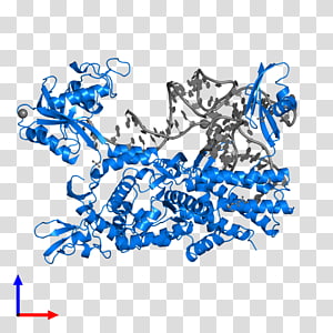 Illustration Line Point Organism, line transparent background PNG clipart thumbnail