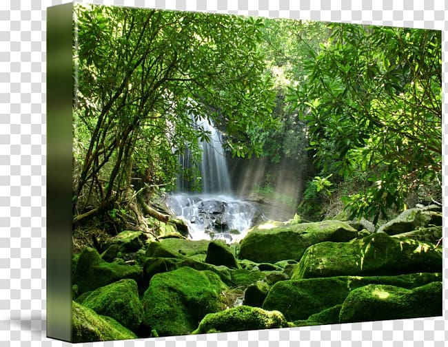 Sue\'s Healing Haven National Park of American Samoa United States Waterfall, waterfall scenery transparent background PNG clipart