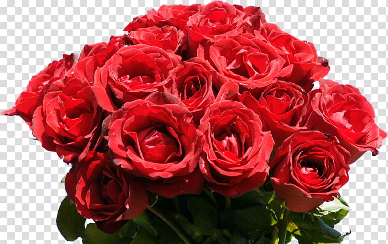 Rose Flower bouquet Desktop Red, rose bunch transparent background PNG clipart