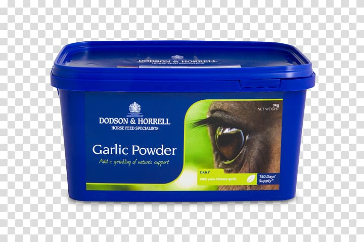Horse Garlic powder Herb Food, Garlic powder transparent background PNG clipart
