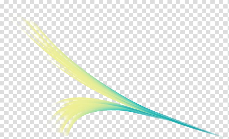 Plant stem Close-up Feather Line, chimichanga transparent background PNG clipart