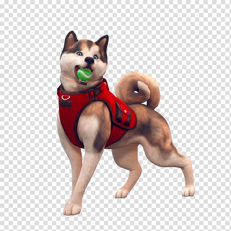 The Sims 4: Cats & Dogs The Sims 3: Pets Siberian Husky The Sims: Unleashed, Cat transparent background PNG clipart
