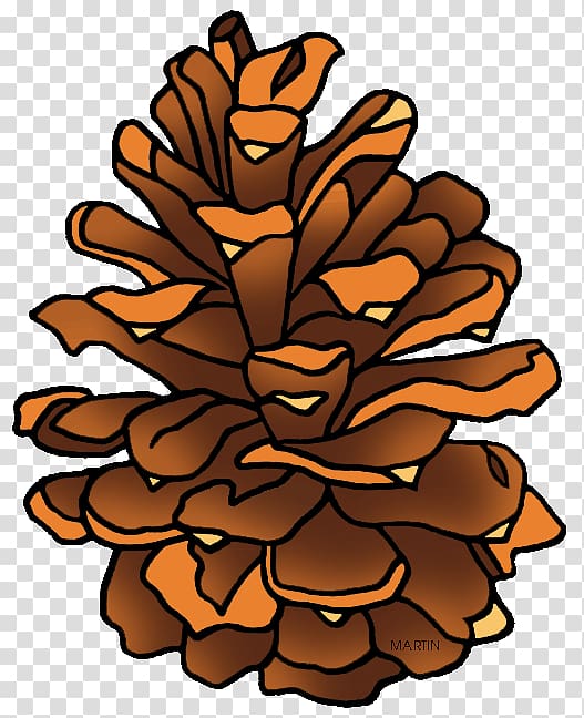 Stone pine Conifer cone , Log Tree transparent background PNG clipart