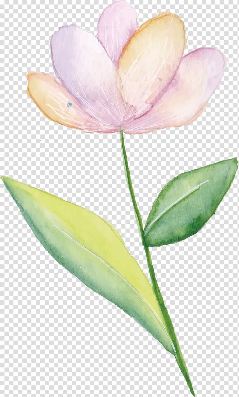 pink tulip watercolor painting, Pink flowers Watercolor painting, Small fresh pink flowers transparent background PNG clipart