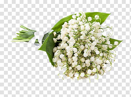 white lily of the valley transparent background PNG clipart