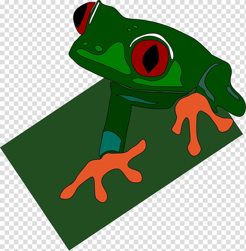 Red-eyed tree frog Poison dart frog , frog transparent background PNG clipart